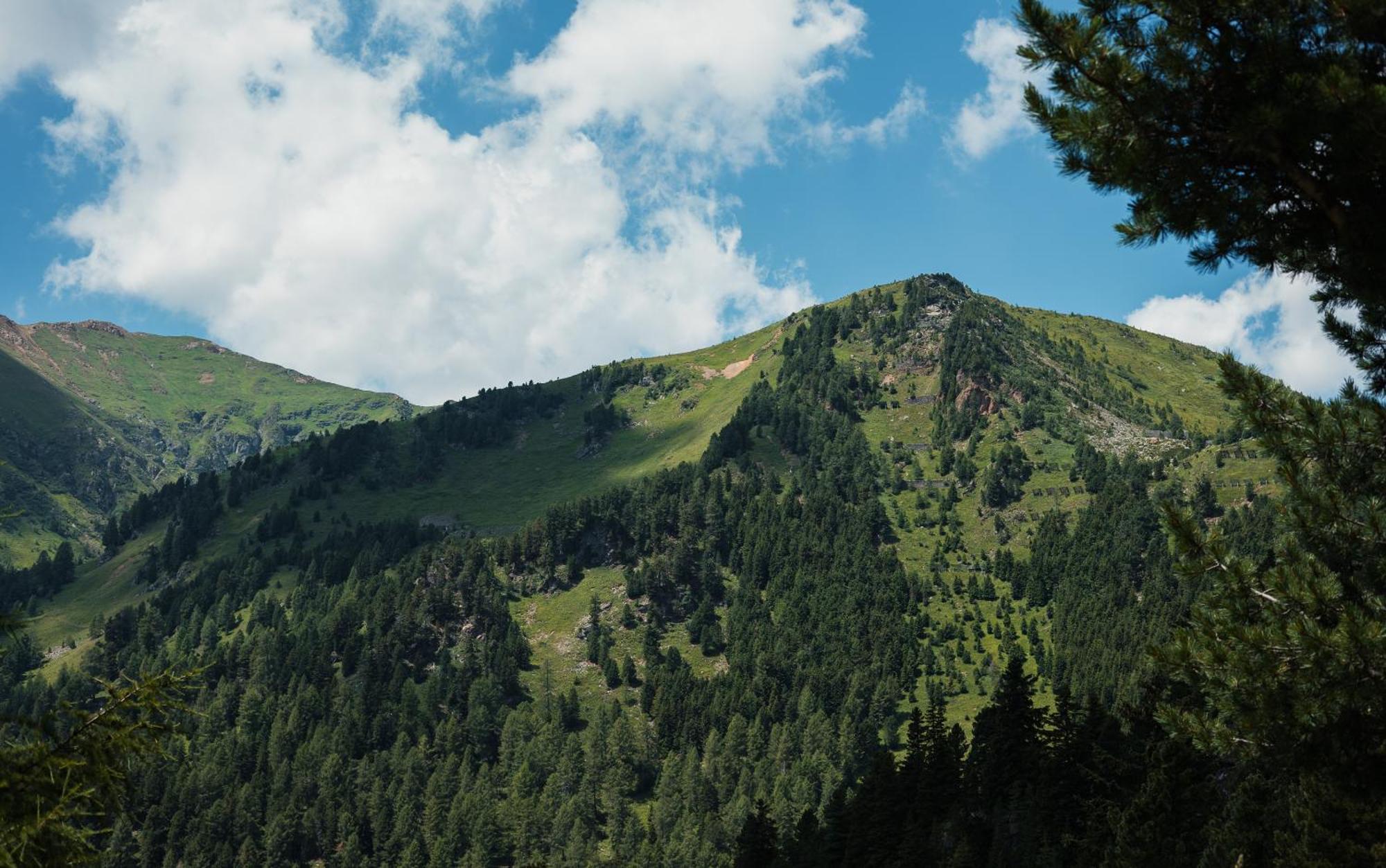 Mei Zeit Huettendorf Turracher Hohe Dış mekan fotoğraf