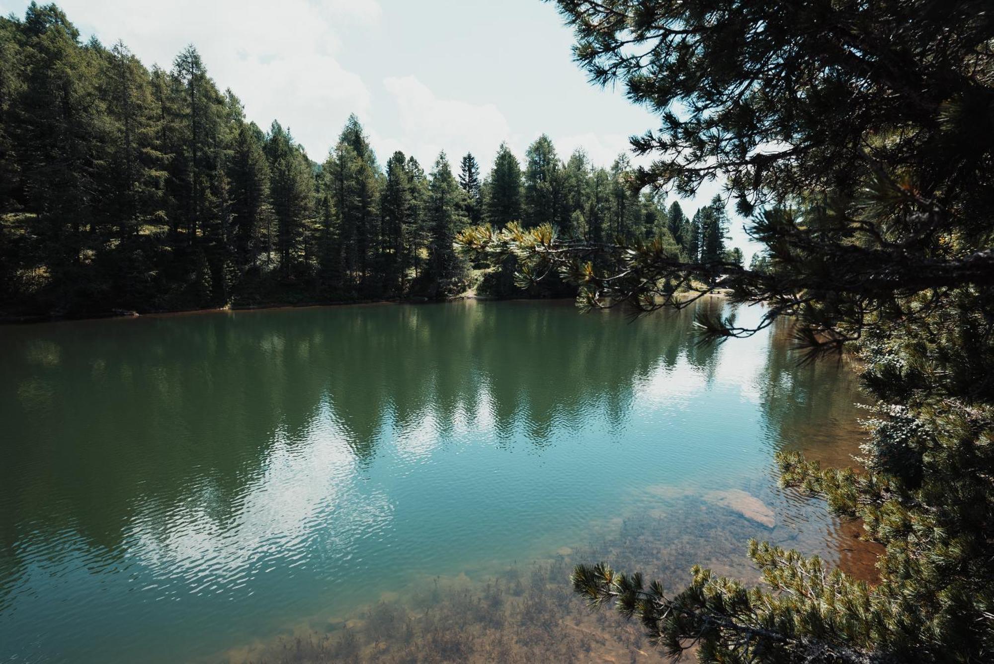 Mei Zeit Huettendorf Turracher Hohe Dış mekan fotoğraf